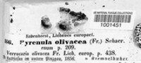 Image Associated With the Occurence